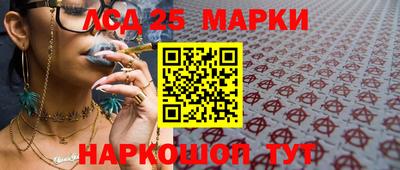 индика Лесосибирск