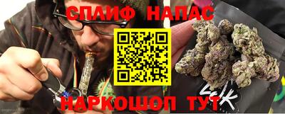 индика Лесосибирск