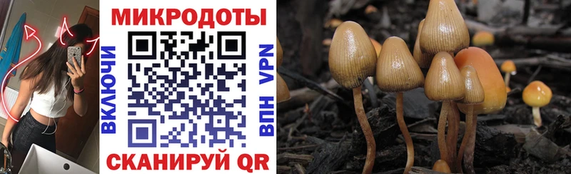 Псилоцибиновые грибы GOLDEN TEACHER  где можно купить наркотик  Великий Устюг 