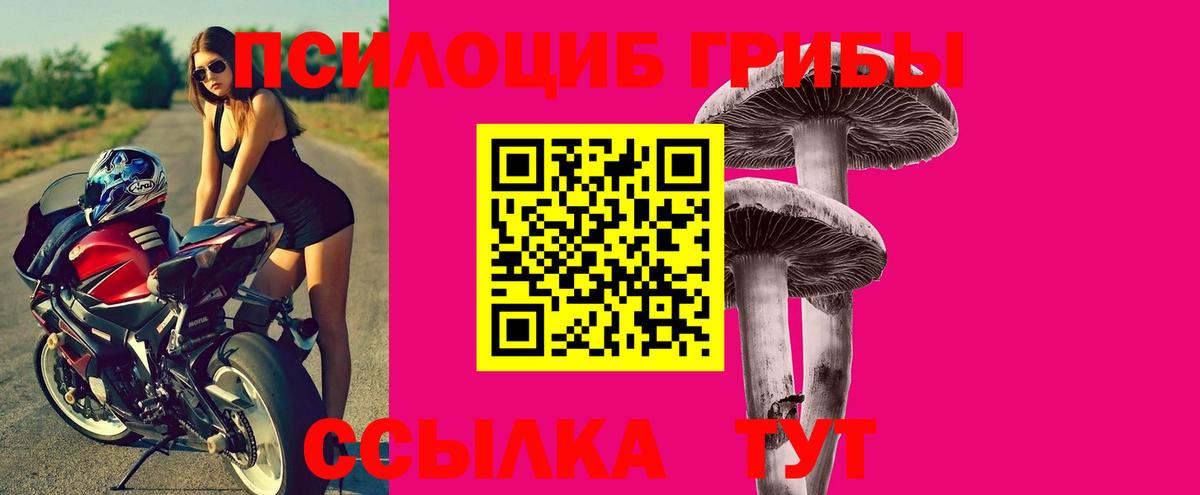 Псилоцибиновые грибы Magic Shrooms  Вход с VPN  Великий Устюг 
