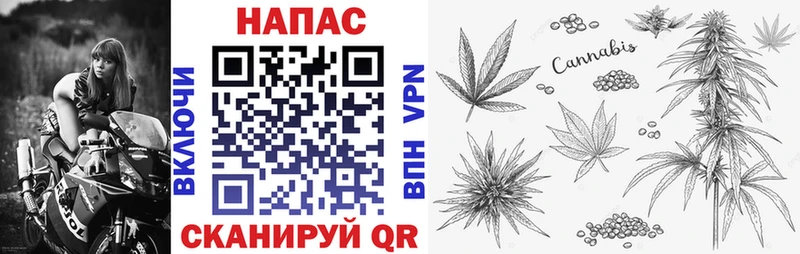Бошки Шишки ГИДРОПОН Великий Устюг